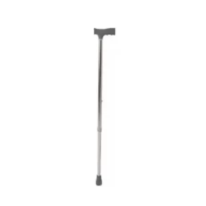 single-legged walking stick