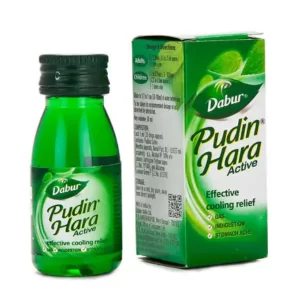Pudin Hara